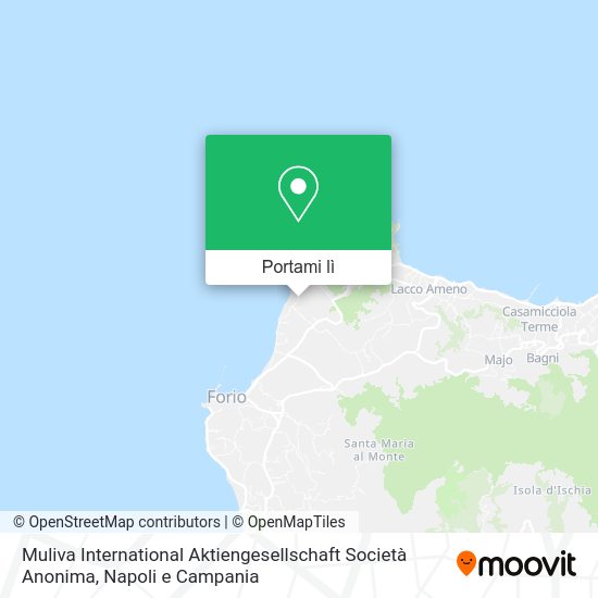 Mappa Muliva International Aktiengesellschaft Società Anonima