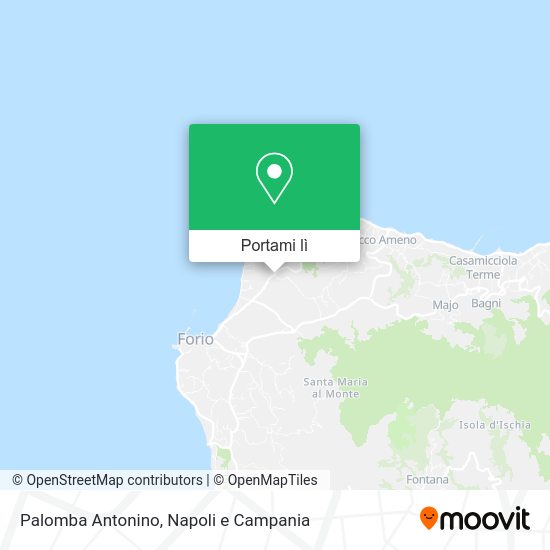 Mappa Palomba Antonino