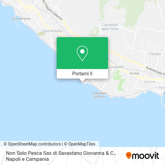 Mappa Non Solo Pesca Sas di Savastano Giovanna & C.