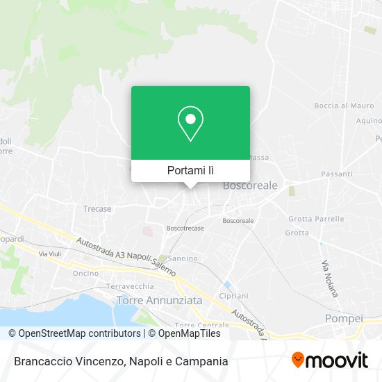 Mappa Brancaccio Vincenzo