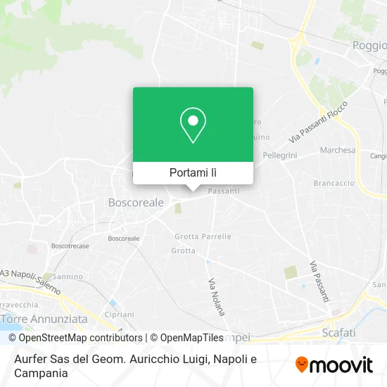 Mappa Aurfer Sas del Geom. Auricchio Luigi