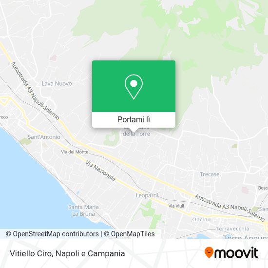 Mappa Vitiello Ciro