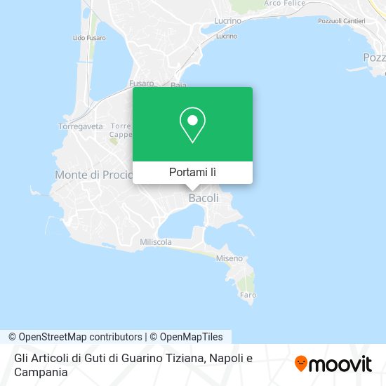 Mappa Gli Articoli di Guti di Guarino Tiziana