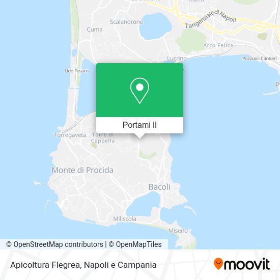 Mappa Apicoltura Flegrea