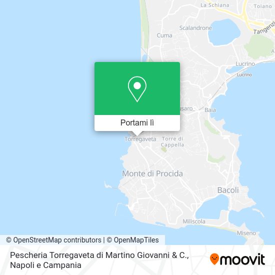 Mappa Pescheria Torregaveta di Martino Giovanni & C.