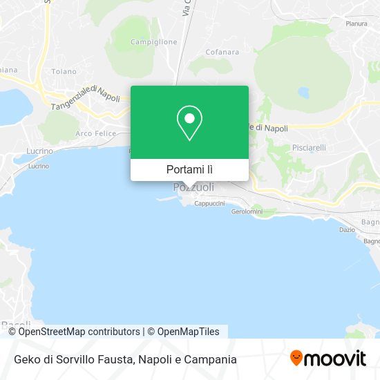 Mappa Geko di Sorvillo Fausta