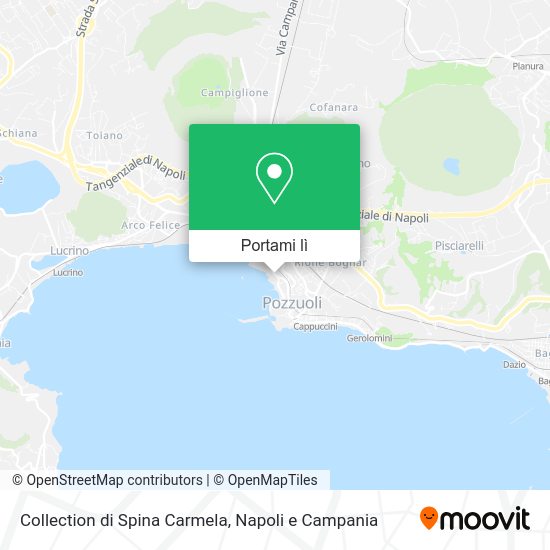 Mappa Collection di Spina Carmela