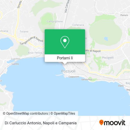Mappa Di Carluccio Antonio