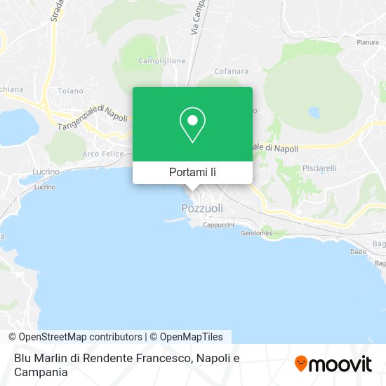 Mappa Blu Marlin di Rendente Francesco