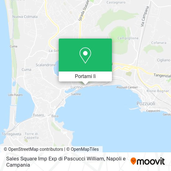 Mappa Sales Square Imp Exp di Pascucci William