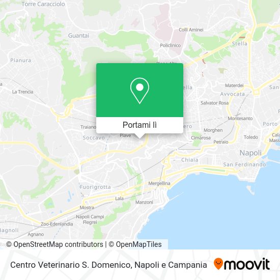Mappa Centro Veterinario S. Domenico