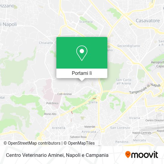 Mappa Centro Veterinario Aminei