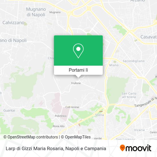 Mappa Larp di Gizzi Maria Rosaria