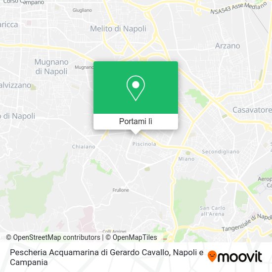 Mappa Pescheria Acquamarina di Gerardo Cavallo
