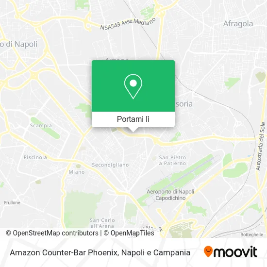 Mappa Amazon Counter-Bar Phoenix