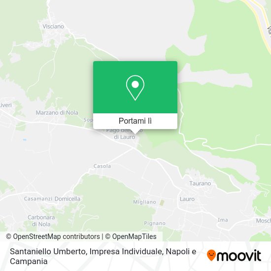 Mappa Santaniello Umberto, Impresa Individuale