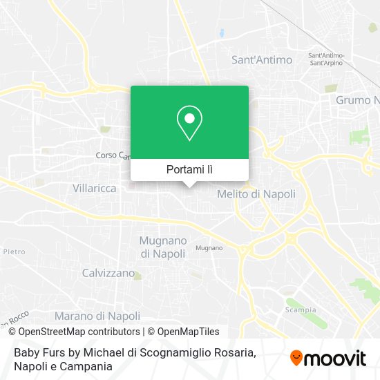 Mappa Baby Furs by Michael di Scognamiglio Rosaria