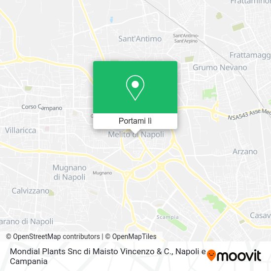 Mappa Mondial Plants Snc di Maisto Vincenzo & C.