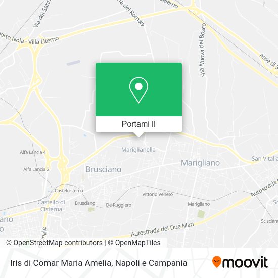 Mappa Iris di Comar Maria Amelia