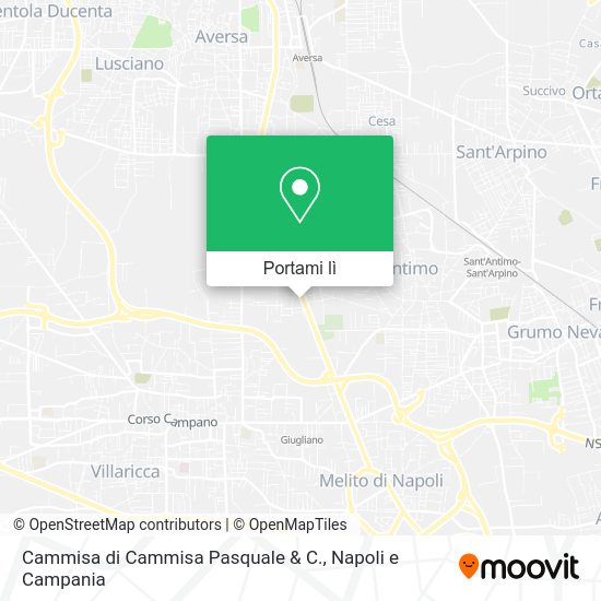 Mappa Cammisa di Cammisa Pasquale & C.