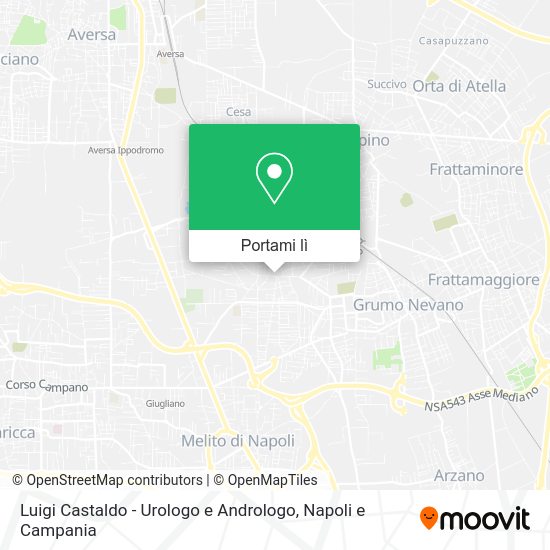 Mappa Luigi Castaldo - Urologo e Andrologo
