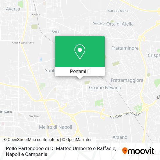 Mappa Pollo Partenopeo di Di Matteo Umberto e Raffaele