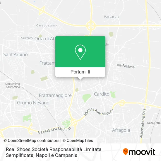 Mappa Real Shoes Società Responsabilità Limitata Semplificata