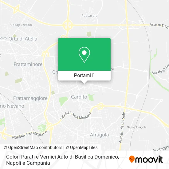 Mappa Colori Parati e Vernici Auto di Basilica Domenico