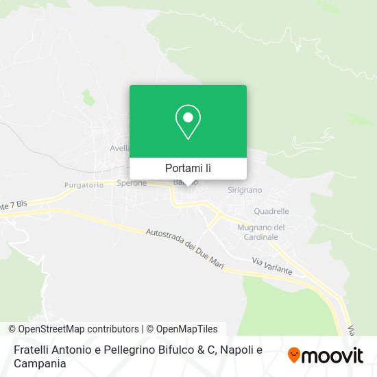 Mappa Fratelli Antonio e Pellegrino Bifulco & C