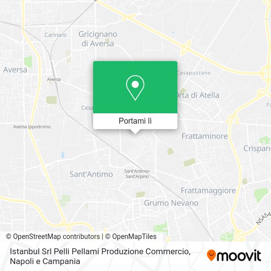 Mappa Istanbul Srl Pelli Pellami Produzione Commercio