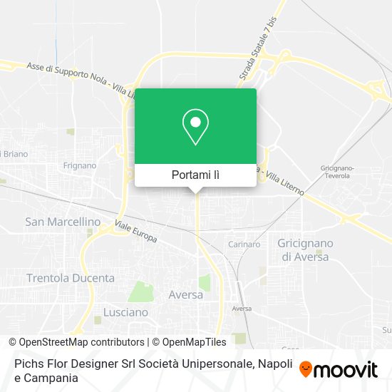 Mappa Pichs Flor Designer Srl Società Unipersonale