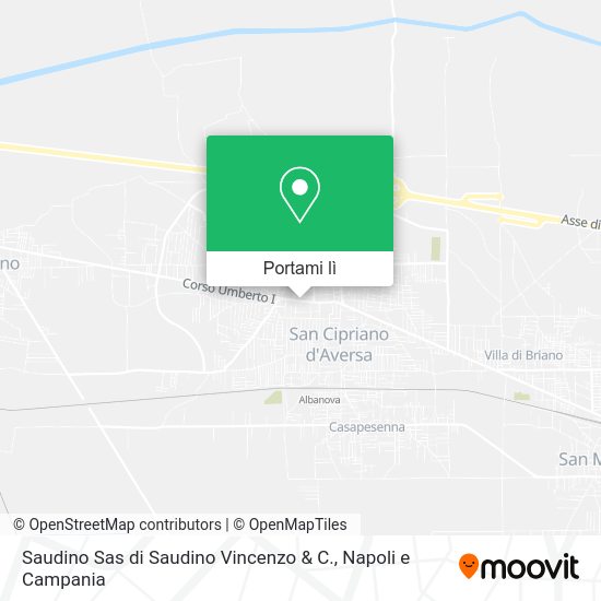 Mappa Saudino Sas di Saudino Vincenzo & C.