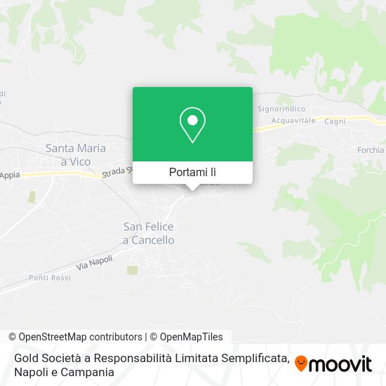 Mappa Gold Società a Responsabilità Limitata Semplificata