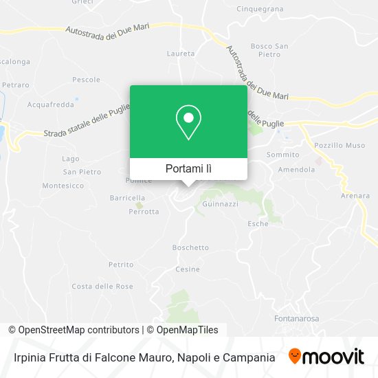 Mappa Irpinia Frutta di Falcone Mauro