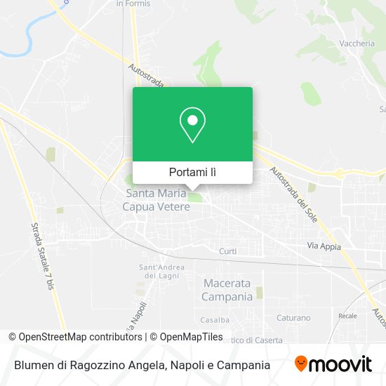 Mappa Blumen di Ragozzino Angela