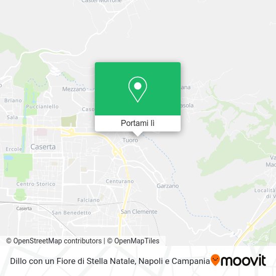 Mappa Dillo con un Fiore di Stella Natale