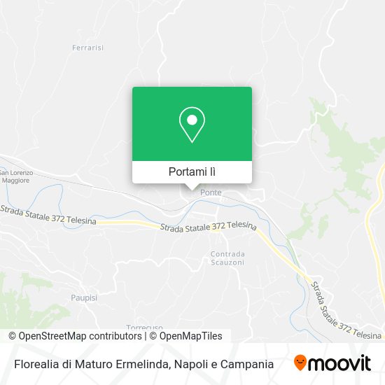 Mappa Florealia di Maturo Ermelinda