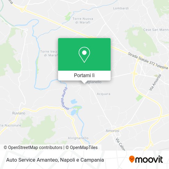 Mappa Auto Service Amanteo