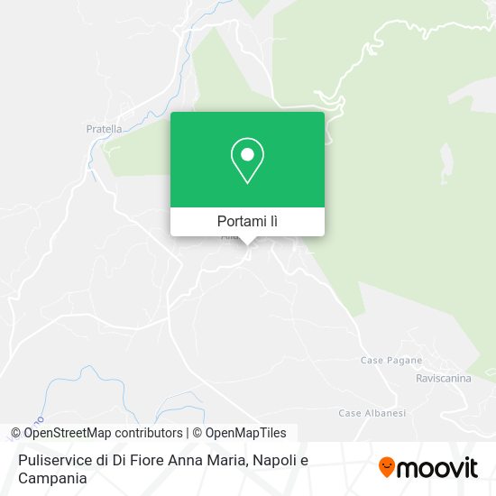 Mappa Puliservice di Di Fiore Anna Maria