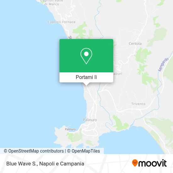 Mappa Blue Wave S.
