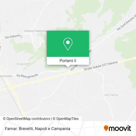 Mappa Famar. Brevetti