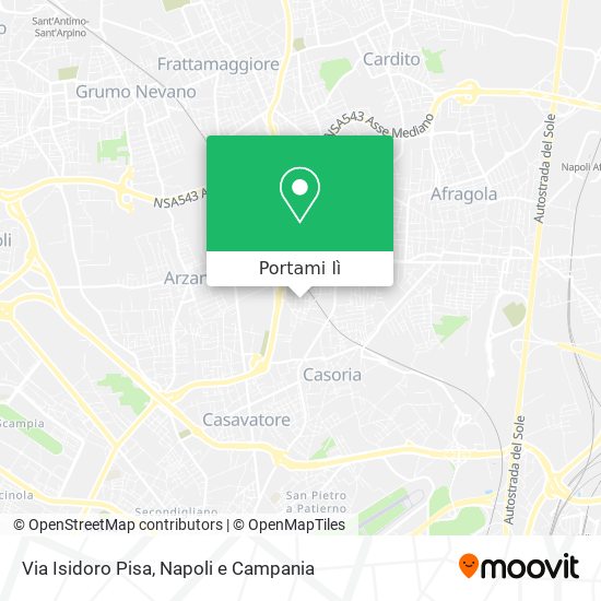 Mappa Via Isidoro Pisa