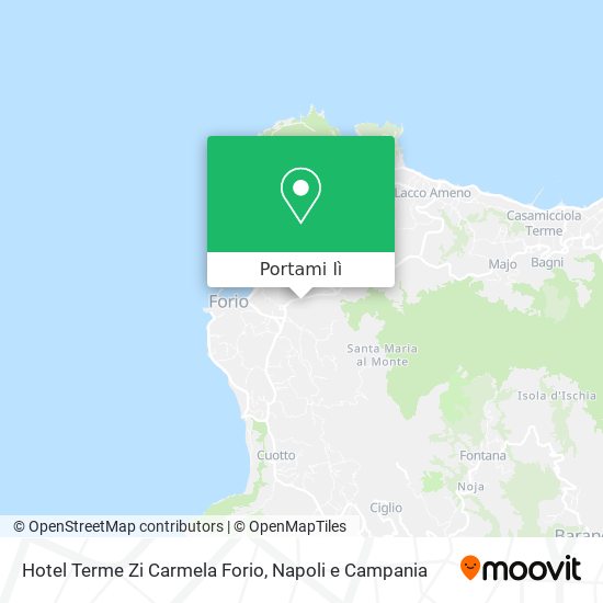 Mappa Hotel Terme Zi Carmela Forio