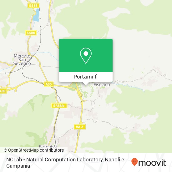 Mappa NCLab - Natural Computation Laboratory