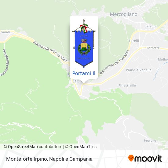 Mappa Monteforte Irpino