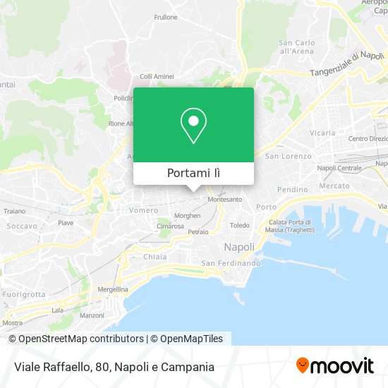 Mappa Viale Raffaello, 80