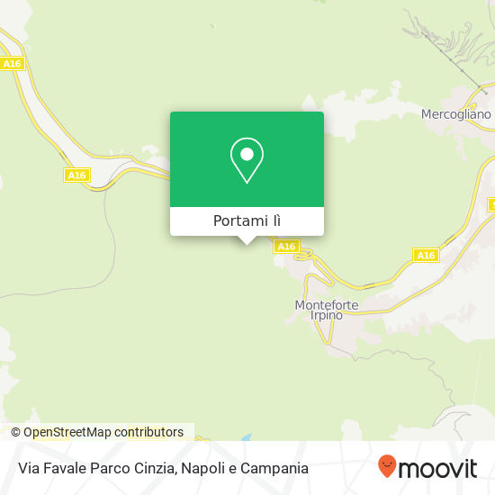 Mappa Via Favale Parco Cinzia