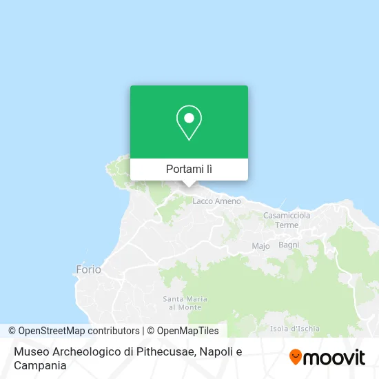 Mappa Museo Archeologico di Pithecusae