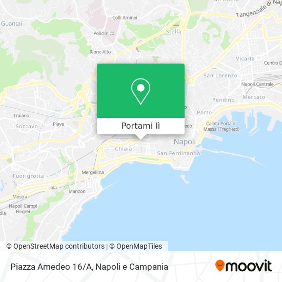 Mappa Piazza Amedeo 16/A