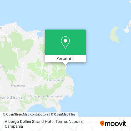 Mappa Albergo Delfini Strand Hotel Terme